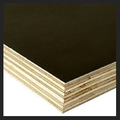 Plywood Shelves