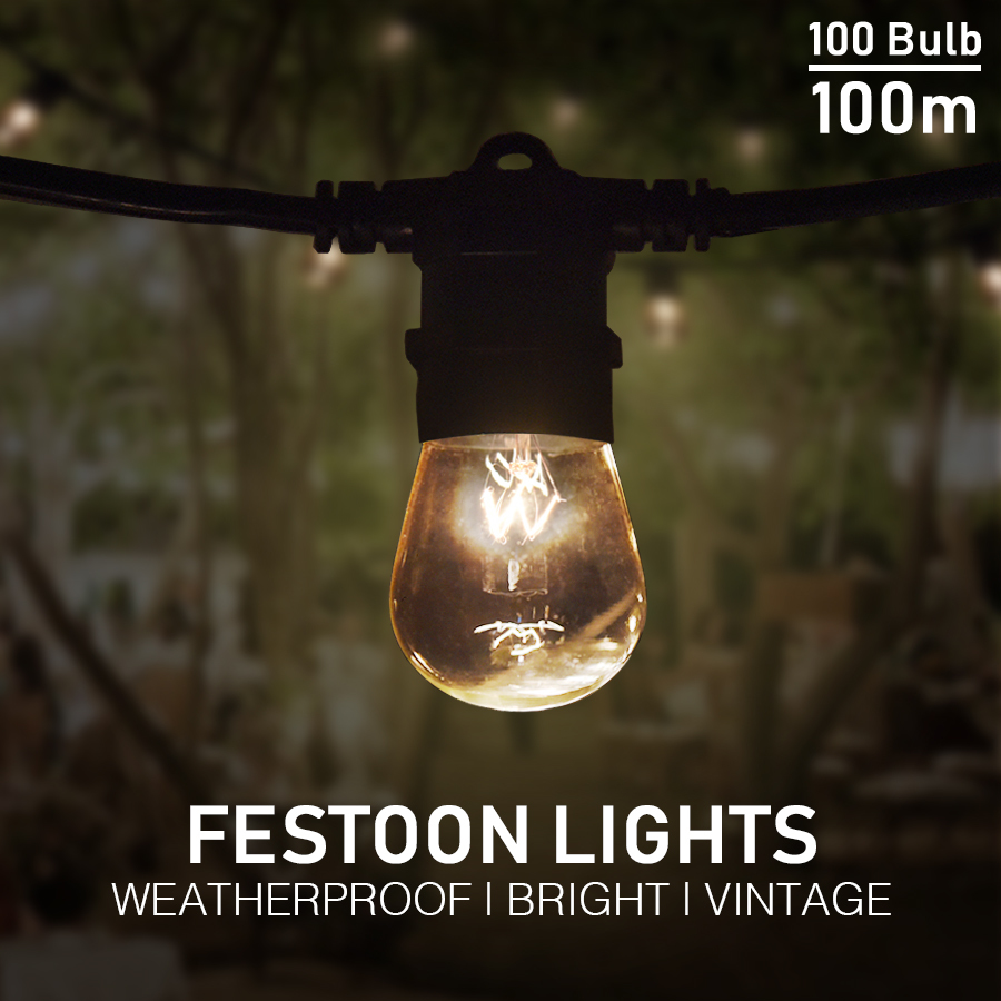 Festoon Lights 100m
