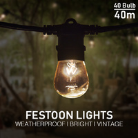 Festoon Lights 40m