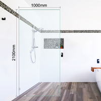 Shower Screen Standard Panel 1000mm x 2100mm 
