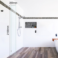 Shower Screen Standard Panel 200mm x 2100mm 