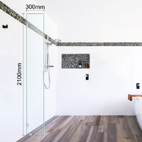 Shower Screen Standard Panel  300mm x 2100mm  