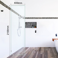 Shower Screen Standard Panel 600mm x 2100mm 